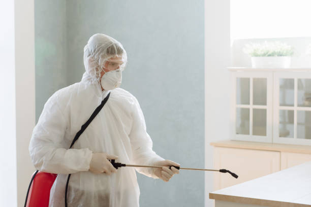 disinfestazioni a napoli